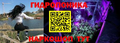 гидра Комсомольск-на-Амуре
